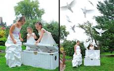 wedding photography Toronto, Love story, special event, bride, groom, party, wedding ceremony, pigeons